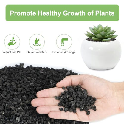 Pulovin 2.5lbs Lava Rocks for Plants, 1/5 Inch Black Gravel for Succulent, Cactus, Bonsai Tree, Pure Volcanic Rocks, Top-Dressing, Good Drainage - color: Black