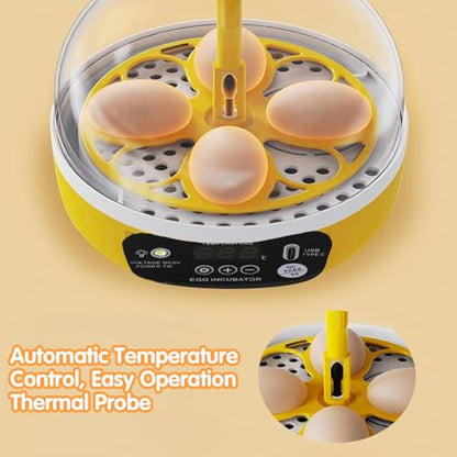 Tissting 4-Egg Mini Incubator with Transparent Lid | 7W Power & Humidity Control | Clear Viewing Window | Auto Egg Turning | for Chicken, Duck, Quail, Pigeon(Auto Turning) - color: 4 Eggs Auto Turning