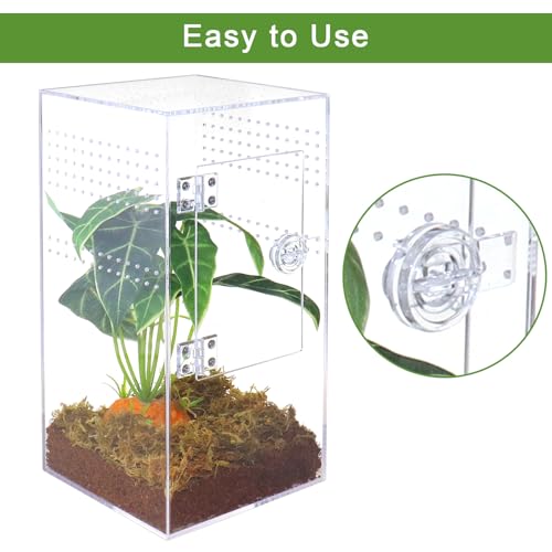 NANEEZOO Jumping Spider Enclosure with Front Opening Door, 6"x6"x12" Reptile Breeding Box Micro Habitat Terrarium for Small Tree Dwelling Reptiles, Spiders, Mantis & Invertebrates - size: 6x6x12 Inch Square