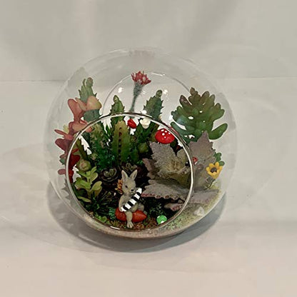 WGV Planter Terrarium Bulk, Width 6" Height 6", Clear Round Glass Vase Container with Two Side Opening, DIY Air Planter, Votive Candle Holder for Decor, 6 Pieces - size: 6" Double Opening