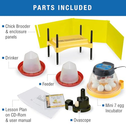 Brinsea Mini II Advance Complete Classroom Egg Hatching Incubation Kit | Inspire students! Includes incubator, all accessories & lesson plans for effortless egg hatching in the classroom or at home - size: Classroom Kit, 7 Eggs