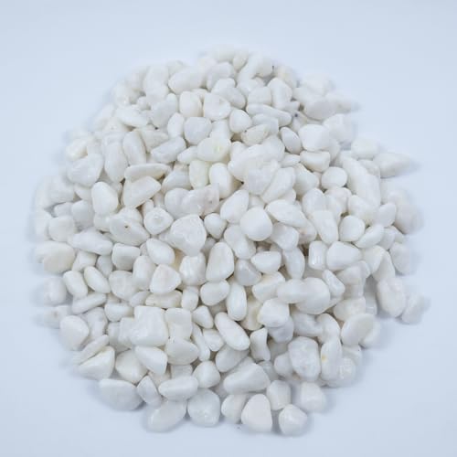 Colored Aquarium Gravel,Colorful Pea Gravel,Garden Rocks,Decorative Stones Rocks for Fish Tank,Aquarium,Fairy Garden Decor,Planters,Vase Fillers,Landscaping,1 Pound (White, 6-9mm) - color: White, size: 6-9mm