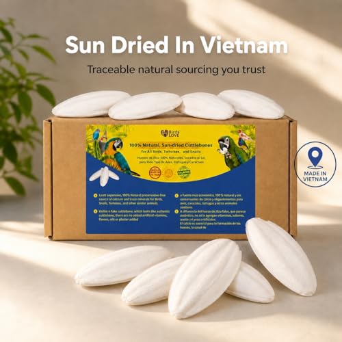 Birds LOVE 7.5-8" Cuttlebone for Birds – 100% Natural Sun-Dried Calcium Carbonate Mineral Supplement – for Parakeets, Budgies, Cockatiels, Finches & Canaries – 6 Pack with Holder – Made in Vietnam - size: 6 Count (Pack of 1)