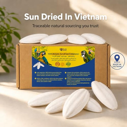 Birds LOVE 7.5-8" Cuttlebone for Birds – 100% Natural Sun-Dried Calcium Carbonate Mineral Supplement – for Parakeets, Budgies, Cockatiels, Finches & Canaries – 6 Pack with Holder – Made in Vietnam - size: 6 Count (Pack of 1)