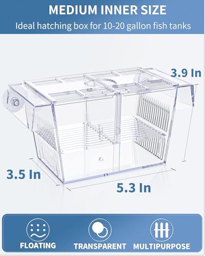 Pawfly Aquarium Fish Breeding Box Acrylic Hatchery Incubator Tank with Suction Cups Medium Isolation Box for Baby Fish Shrimp Betta and Guppy