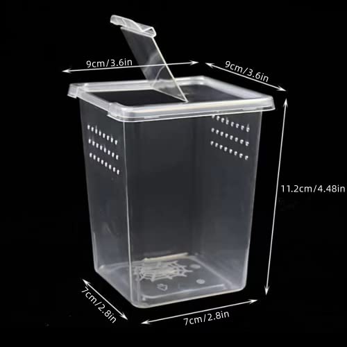 3 Pcs Acrylic Transparent Insect Reptile Spider Terrariums Breeding Box Hatching Container,Portable Small Reptile Animal Habitat Cage,Plastic Transport Container(Big Size)