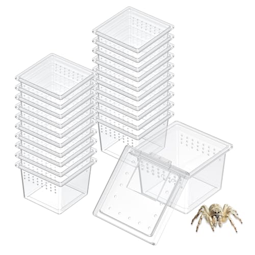 Pawfly 20 Pcs Mini Spider Terrarium Breeding Box, Transparent Plastic Jumping Spider Enclosure Cricket Keeper Tarantula Enclosure, Small Reptile Hatching Container for Scorpion Centipede Gecko Mantis - size: 20PCS