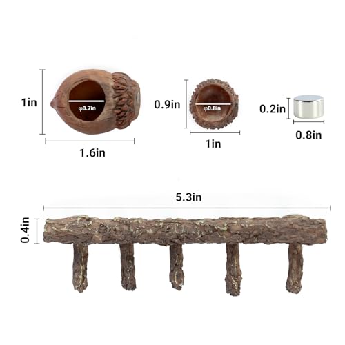 REPTI ZOO Jumping Spider Hideout and Feeding Dish, Nut Shaped Hide and Cave Sets for Spider Playing, Feeding and Climbing, Pet Spider Enclosure Accessories