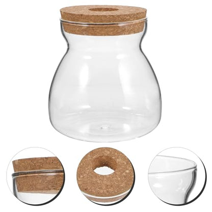 Glass Terrarium Jar for Succulent Plants with Hydroponic Hole Lid, Medium Trapezoid Glass Container for Indoor Mini Ecosystem and Plant Propagation