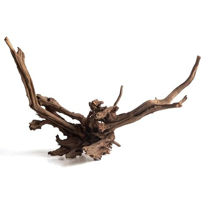 emours Natural Aquarium Driftwood, Upright Root Style Wood for Fish Tank Decor, Unique Driftwood for Aquascape, Terrarium and Reptile Display, 1 Piece (12-16" (30-40 cm)) - size: 12-16" (30-40 cm)