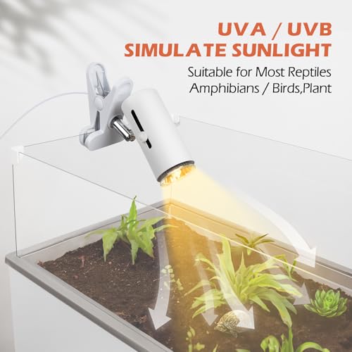 AZV Habitat Terrarium Enclosure, Small Reptile Tank with Bearded Dragon Hammock with AZV Reptile Heat Lamp with 50W UVA UVB 3.0 Light Bulb