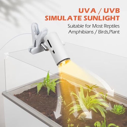 AZV Habitat Terrarium Enclosure, Small Reptile Tank with Bearded Dragon Hammock with AZV Reptile Heat Lamp with 50W UVA UVB 3.0 Light Bulb