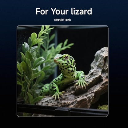 2K HD Reptile Tank WiFi Camera, 140° Wide-Angle Night Vision for Bearded Dragon, Gecko, Chameleon & Exotic Lizards, Anti-Glare Glass Mount, Two-Way Audio, AI Motion Alerts, 24/7 Recording