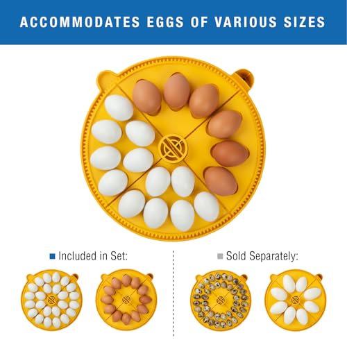 Brinsea Maxi 24 Advance Incubator with auto Turner for Hatching 24 Eggs | Temperature control to ensure optimal conditions for hatching 24 eggs or more with inserts, Easy to use precision controls - size: 24 Eggs