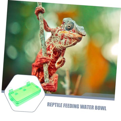 HANABASS Reptile Feeder Bowl Suction Cup Food Dish for Bearded Dragon Gecko Snake Insect Water Feeder - color: Light Green, size: 9.00X6.00X3.50CM