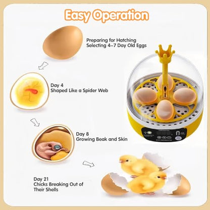 Tissting 4-Egg Mini Incubator with Transparent Lid | 7W Power & Humidity Control | Clear Viewing Window | Auto Egg Turning | for Chicken, Duck, Quail, Pigeon(Auto Turning) - color: 4 Eggs Auto Turning