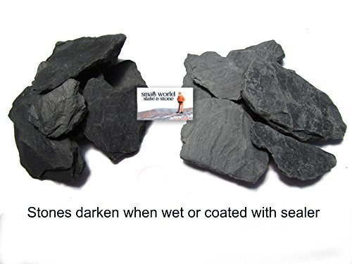 USA Natural Slate 1-3" for Aquariums, Reptiles, Terrariums, Miniatures 2 lb | Hand sorted, tumbled & washed in the US by our family-owned small business. Great in paludariums, mosaics & fairy gardens - style: 2 lbs