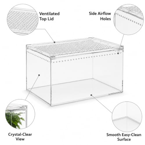 Large Clear Acrylic Jumping Spider Enclosure, 11.8 x 7.9 x 5.9 in | Suitable for tarantulas, spiders, mantises, beetles, and small reptiles, Wide opening design for feeding and cleaning
