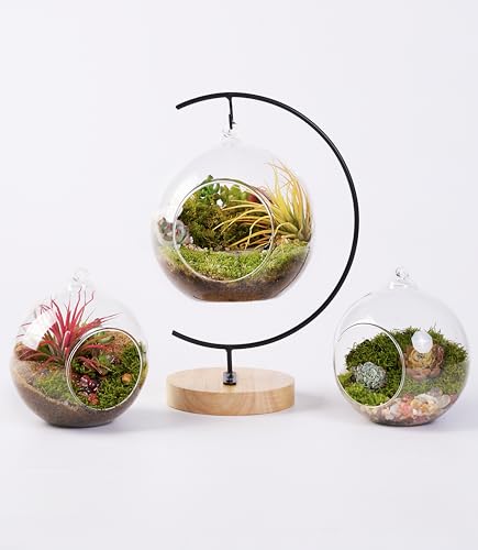 DIY Terrarium Kit with Live Moss, 15-Piece Glass Globe Set | Complete DIY Experience, Beginner Friendly, Wooden Display Stand, Gift-Ready Set, Indoor Nature Decor, Easy Assembly