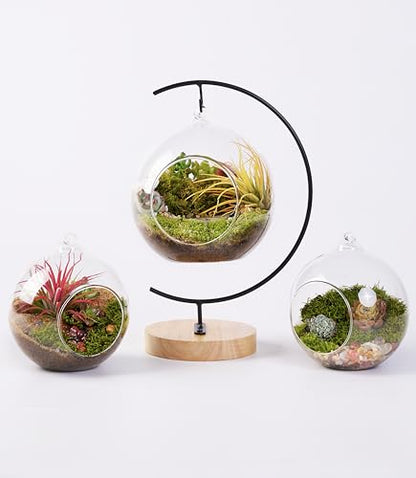 DIY Terrarium Kit with Live Moss, 15-Piece Glass Globe Set | Complete DIY Experience, Beginner Friendly, Wooden Display Stand, Gift-Ready Set, Indoor Nature Decor, Easy Assembly