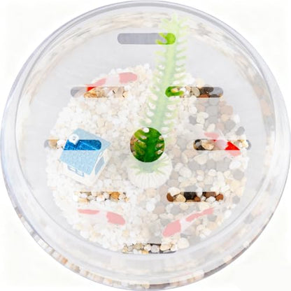 Fish Tank Lid: 18cm/7.1" Round Aquarium Lid Cover with Hole - Transparent Acrylic Tank Protective Cover for Fish Bowl Terrarium - size: 18.00X18.00X0.30CM