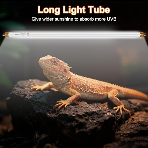 UVB Light for Reptiles Bearded Dragon, 2 Pack T5 UVB Reptile Light UVB Bulb 10.0 39W UVA UVB Reptile Light Bulb Terrarium Light Lamp Tube for Turtle Chameleon Leopard Gecko Snake Tank, 34 Inch - size: T5-34 Inch(2 Pack)