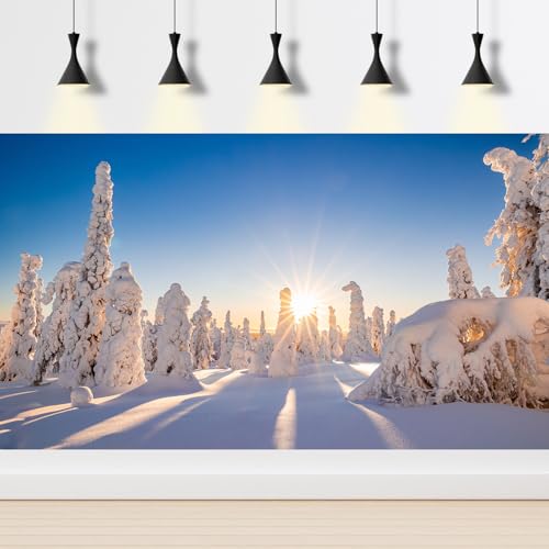Winter Wonderland Fish Tank Background Sunrise Snow Covered Pine Trees Landscape Aquarium Background Frosty Winter View Terrarium Backgrounds Wintry Sunray Heavy Snow Scene Tank Backgrounds 24x12in - color: Light_Blue, size: 24(W)x12(H)inches/ 60(W)*30cm(