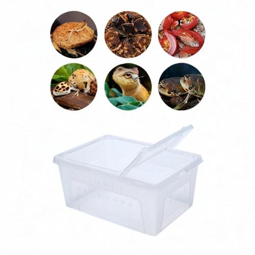 Reptile Reproduction Box Animal Housing Light Cage with Small Vents Control of Turtle Transport Container for Silk Worm, White - color: White