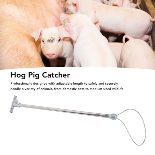 Hog Pig Catcher, Stainless Steel Animal Control Hog Pig Catcher Dog Catcher Pole Portable Animal Catcher Tools for Medium Sized Animals Reptiles (T Handle without Pull Rope 67cm)