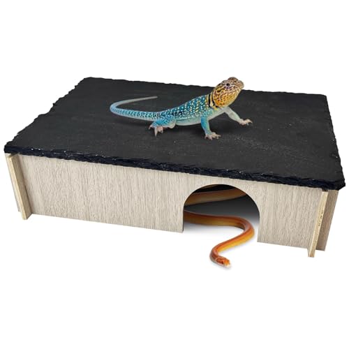 PINVNBY Bearded Dragon Basking Platform, Wood Reptile Hides and Caves, Crested Gecko Hide with Slate Rock, Leopard Gecko Tank Accessories for Small Lizard Snake (M: 9.84x5.9x2.76 inches) - size: M: 9.84x5.9x2.76 inches