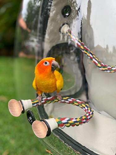 Bird Traval Carrier Cage, Clear Space Capsule Astronaut Backpack to Carry Parakeet Cockatiel Parrot with Metal Tray Bird Feeder and Wood Perch, Vet Transport Bag - color: Pink