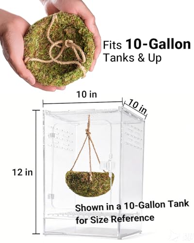 Handmade Crested Gecko Tank Decor – Hanging Shelter for Bearded Dragon Accessories, Reptile Hammock, Hermit Crab, Snake and Other Small Reptiles
