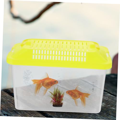 iplusmile Portable Handheld Aquarium for Turtles and Pets Transparent Fish Tank Lightweight for to and Transport Animals - size: 15x11cm