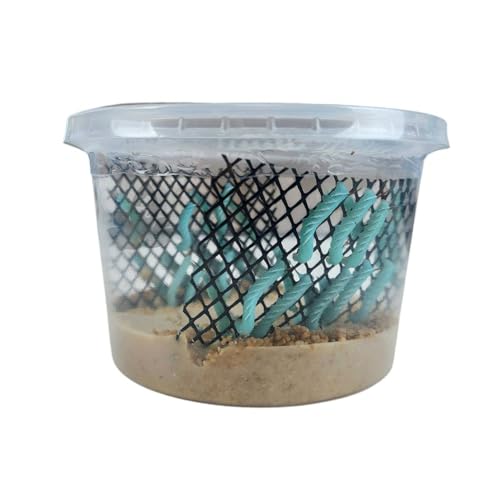 Josh's Frogs Hornworms Habitat Cup (25 Count Cup) - size: 25 Count (Pack of 1)