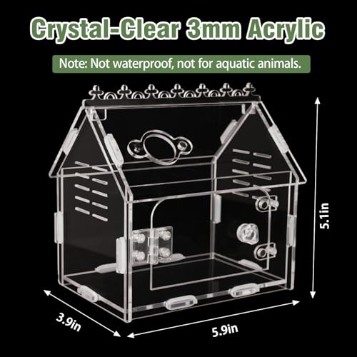 Acrylic Jumping Spider Enclosure Magnetic Lock Terrarium | Clear Acrylic Viewing, Dual Vents, Sloped Roof, 5.9x3.9x5.1", Tool-Free Assembly