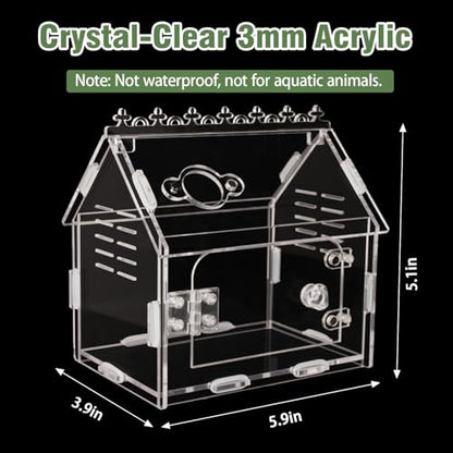 Acrylic Jumping Spider Enclosure Magnetic Lock Terrarium | Clear Acrylic Viewing, Dual Vents, Sloped Roof, 5.9x3.9x5.1", Tool-Free Assembly