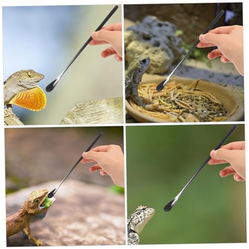 SUPVOX 3pcs Sturdy Stainless Steel Lizard Food Spoon Reptile Feeding Tool for Crested Gecko Food - color: Black