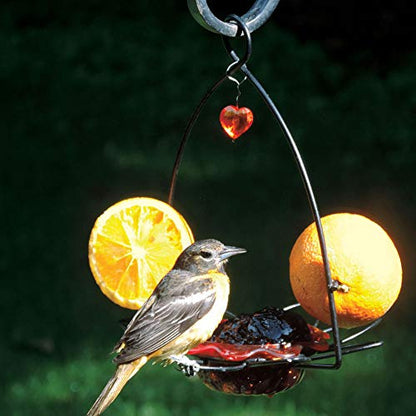 Birds Choice Flower-Shaped Oriole Feeder for Jelly & Oranges | 3oz, Orange | Removable Cup and Fruit Pegs with Heart Ornament, Sturdy for Garden and Backyard, Orange Finish - style: Flower