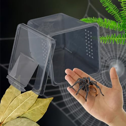 4 Pcs Insect Spider Terrariums Breeding Box Hatching Container Small Reptile Arboreal Spider Mantis Scorpion Centipede Acrylic Breeding Box