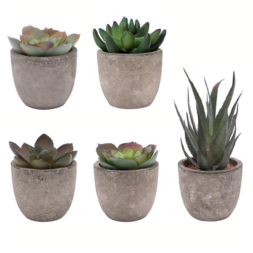 Artificial Succulent Plants Set, Low Maintenance Home Office Decor | Realistic faux succulent set, no water or sun. For desk, shelf, office, living room. Great gift for plant lovers.