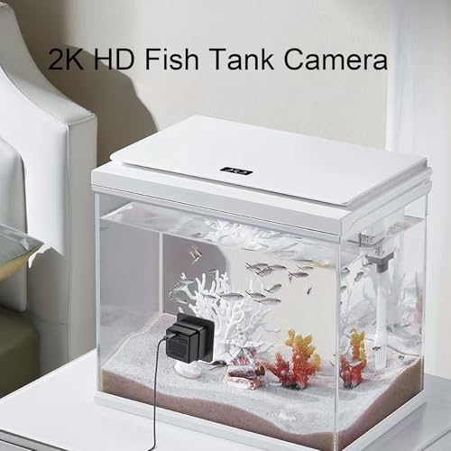 Pomya 2MP 2K Aquarium & Terrarium Pet Camera, 140 Wide Angle WiFi Aquarium Camera with AI Motion Detection, Adhesive Mounting Bracket for for Fish Tank, Lizard, Reptile Pet