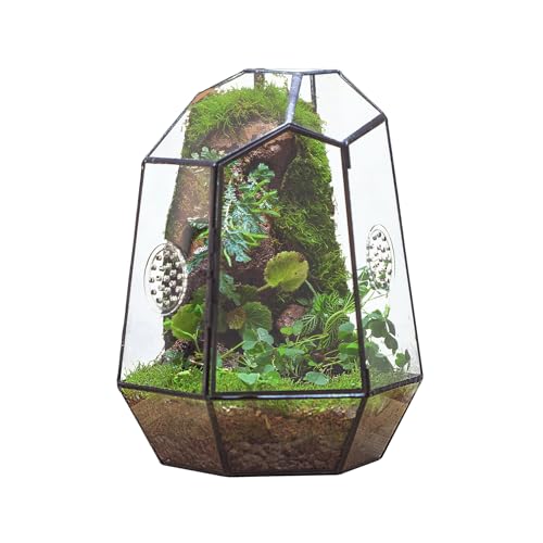 NCYP Closed Geometric Glass Enclosure with Front Opening Door & 2 Vent Holes for Insects, Snail, Moss, Fern - 7.9"x6.9"x9.8" Black Irregular Terrarium - Home Garden Tabletop Decor (No Plants)
