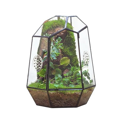 NCYP Closed Geometric Glass Enclosure with Front Opening Door & 2 Vent Holes for Insects, Snail, Moss, Fern - 7.9"x6.9"x9.8" Black Irregular Terrarium - Home Garden Tabletop Decor (No Plants)