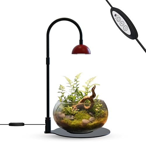 Desktop Grow Lamp Terrarium Light Plant Light on Table with Flexible Gooseneck Lamp for Terrarium Kitchen Vetegable Succulent Lamp with Auto Timer 3/6/12Hrs, 4 Brightness Levels (Red) - color: Red