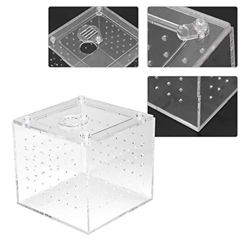 Reptile Breeding Box Acrylic Terrarium Transparent Durable Enclosure with Ventilation Holes Feeding Hole Safety Lock Cover for Snakes Spiders Lizards Insects Small Pets 10x10x9cm
