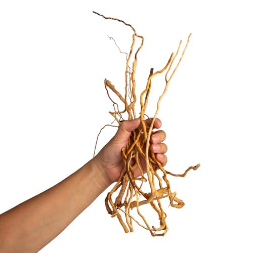 Natural Aquarium Driftwood, [170g] ( 20–40 cm /8–16 in) - Unique Root/Spider Wood Branches for Aquascaping, Planted Tanks & Terrariums, Fish & Plants Decoration, Each Piece One-of-a-Kind (Roots Only) - style: Roots Only