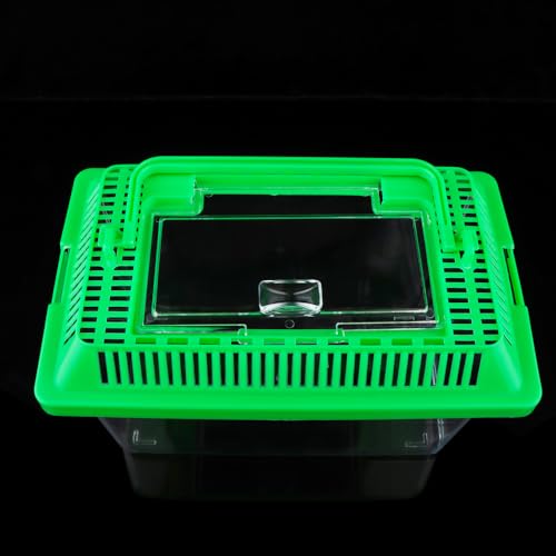 10 Pack Plastic Reptile Carrier Tarantula Enclosure Snake Breeding Box Hatching Container for for Bearded Dragon Lizard Spider Fish Turtle Hermit Crab (7 x 4.3 x 4.3 Inch)