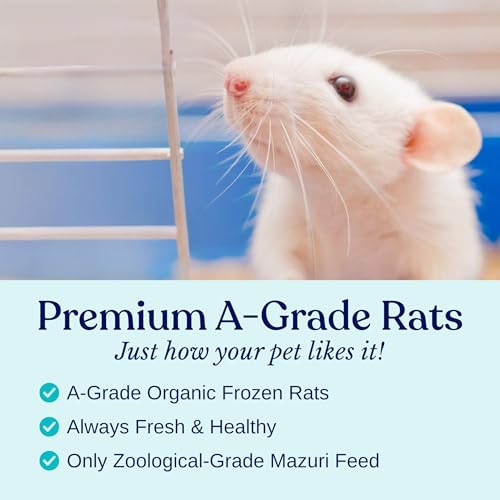 Frozen Large Adult Feeder Mice Food for Adult Ball Pythons Juvenile Red Tale Boa Monitors Lizards (10 Count) - size: 3-3.25 Inches (Pack of 10)
