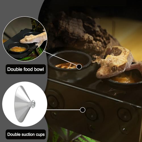 Gecko Feeding Ledge, Hanging Double Reptile Feeder Bowl with Suction Cup, Reptile Food & Water Dish for Arboreal Reptiles, Tree Frogs, Geckos, Beetles