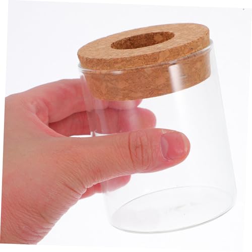 Mikikit 2pcs Glass Hydroponic Terrarium Jar for Indoor Plant Growth Decorative Ecosystem Container Home Office Desk Decor